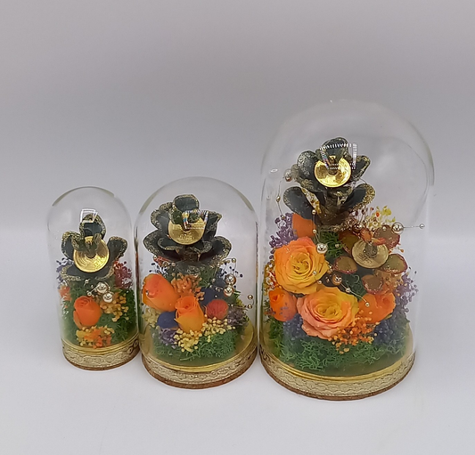 「手づくり金のなる木」&プリザーブドフラワーレインボーローズ(サンライズ)miracleガラスドーム苔花アレンジ