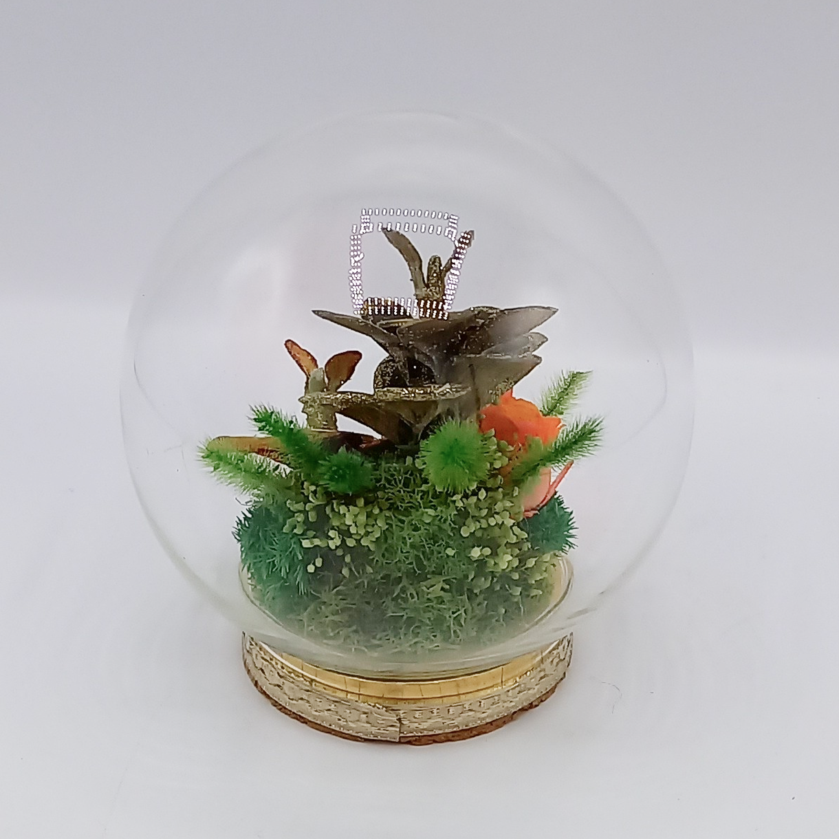 手作り「黄金姫花月&green金のなる木」&プリザーブドフラワーレインボーローズと草花・苔のガラスドームアレンジ❣