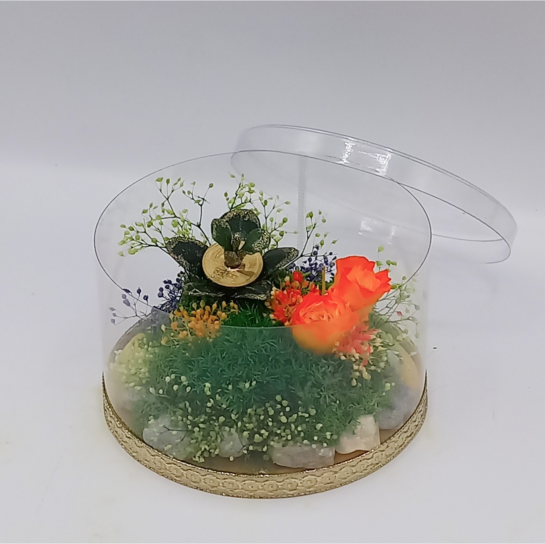 金運アップグッズ「手作り金のなる木」&オールプリザーブドフラワーレインボーローズ(サンライズ)苔・花アレンジ❣