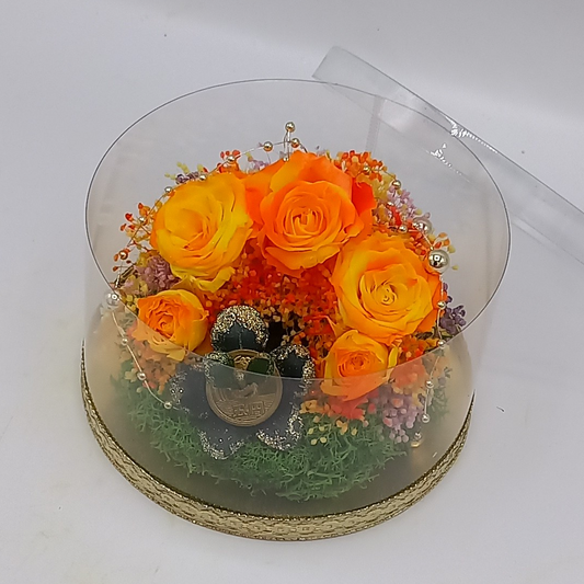 金運アップグッズ 「手作り金のなる木」&プリザーブドフラワーレインボーローズ(サンライズ)と苔のケース入りアレンジ❣