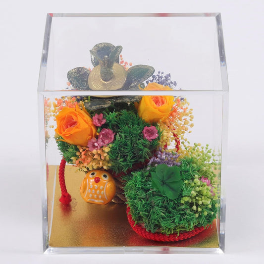 手作り金のなる木&蛤貝合わせ プリザーブドフラワー 五葉クローバー付き クリアケース入り