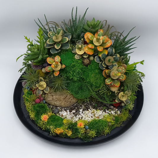 「黄金姫花月&Green金のなる木」プリザーブド苔京庭園風アレンジ