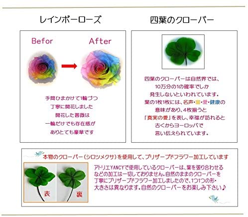 四つ葉のクローバー&虹色の薔薇 レインボーローズ1輪 プリザーブドフラワーアレンジ クリアキューブ 小