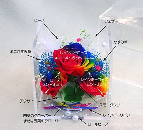 クローバー&虹色の薔薇 レインボーローズ3輪 プリザーブドフラワーアレンジ クリアキューブ 大