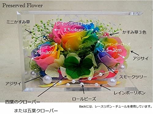 クローバー&虹色の薔薇 レインボーローズ3輪 プリザーブドフラワーアレンジ クリアキューブ 横長