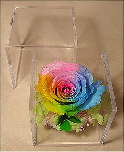 四つ葉のクローバー&虹色の薔薇 レインボーローズ1輪 プリザーブドフラワーアレンジ クリアキューブ 小
