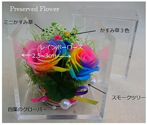 クローバー&虹色の薔薇 レインボーローズ2輪 プリザーブドフラワーアレンジ クリアキューブ 小