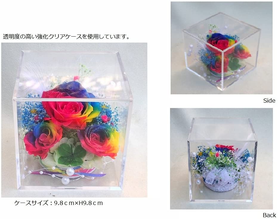 クローバー&虹色の薔薇 レインボーローズ3輪 プリザーブドフラワーアレンジ クリアキューブ 大