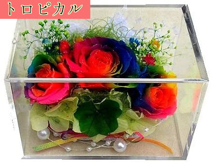 クローバー&虹色の薔薇 レインボーローズ3輪 プリザーブドフラワーアレンジ クリアキューブ 横長
