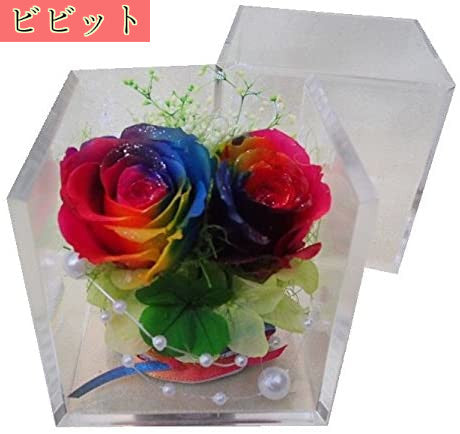 クローバー&虹色の薔薇 レインボーローズ2輪 プリザーブドフラワーアレンジ クリアキューブ 小