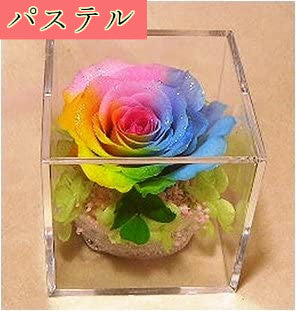 四つ葉のクローバー&虹色の薔薇 レインボーローズ1輪 プリザーブドフラワーアレンジ クリアキューブ 小