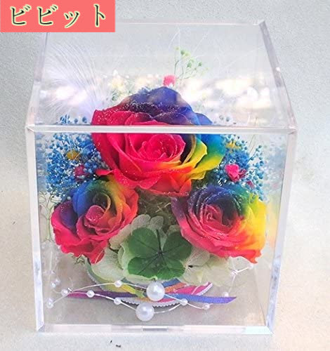 クローバー&虹色の薔薇 レインボーローズ3輪 プリザーブドフラワーアレンジ クリアキューブ 大