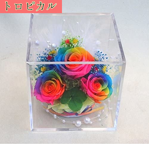 クローバー&虹色の薔薇 レインボーローズ3輪 プリザーブドフラワーアレンジ クリアキューブ 大