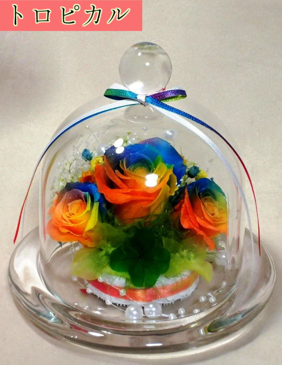 パステルレインボーローズプリザーブドフラワー・ガラス製シンデレラのくつアレンジ - フラワー/ガーデン
