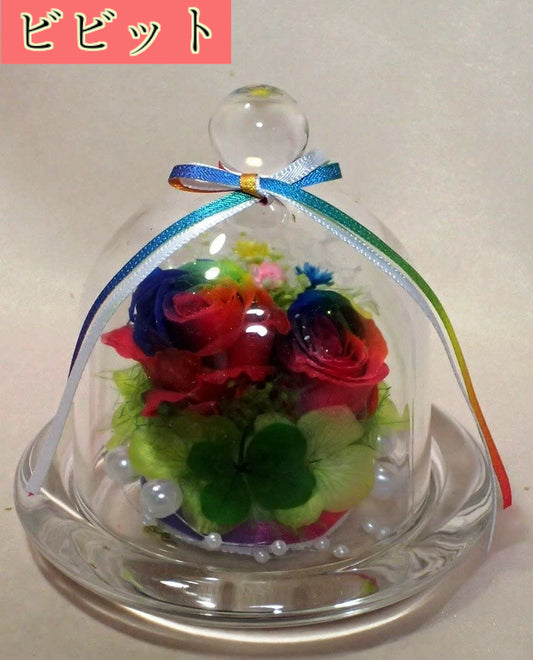 四つ葉のクローバー&虹色の薔薇 レインボーローズ2輪 プリザーブドフラワーアレンジ クリアガラスドーム S