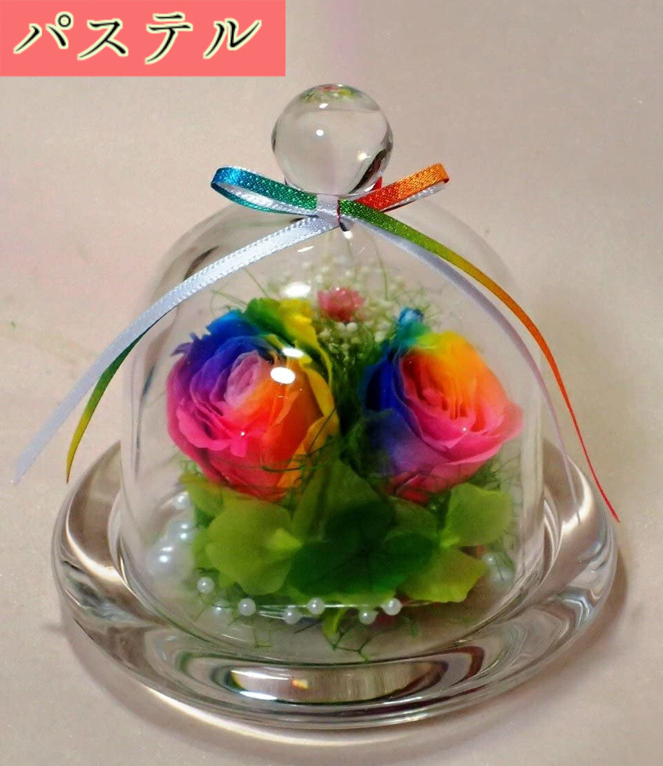 四つ葉のクローバー&虹色の薔薇 レインボーローズ2輪 プリザーブドフラワーアレンジ クリアガラスドーム S