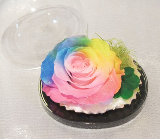 幸せを招く四葉のクローバー &レインボーローズ1輪のプリザーブドフラワーアレンジ クリアケース SS