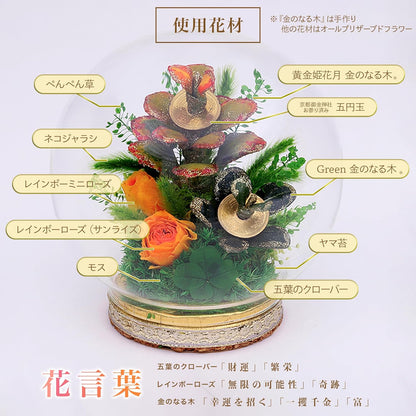 黄金姫花月＆金のなる木 レインボーローズ ガラスドームアレンジ
